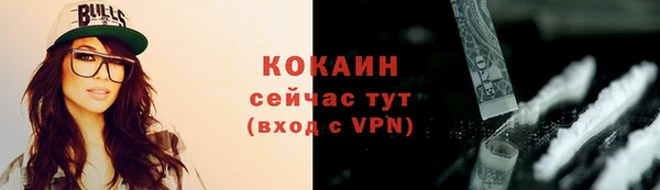хмурый Арсеньев