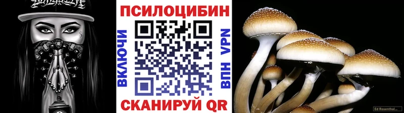 Псилоцибиновые грибы прущие грибы Буинск